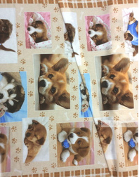 Baby fabric by the Yard ''Puppies''}