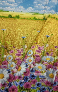 Floral cotton fabric by the yard ''Blue And Purple Cornflowers With Daisies In A Wheat Field''}