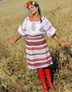 ukrainian dress